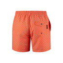 Bondi Swim Shorts - Spruce Sports